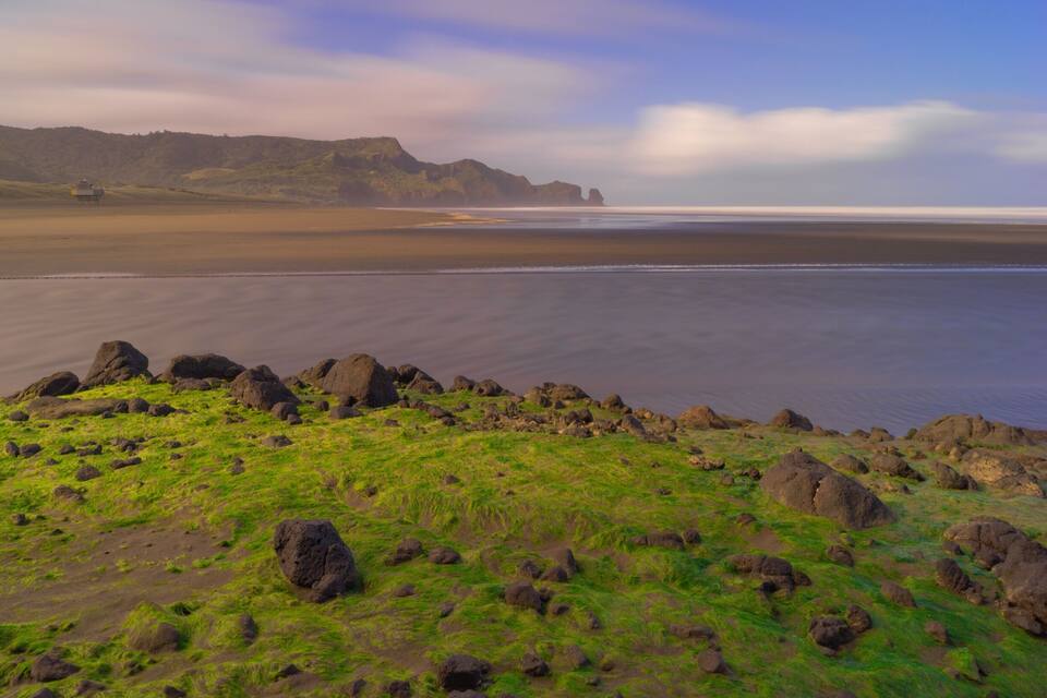 Un paysage côtier avec de l’herbe verte, des rochers et une plage qui mène à des falaises.