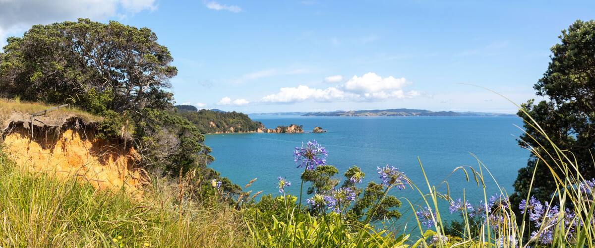 A coastal landscape with a clear blue sea, rocky cliffs, and lush greenery.