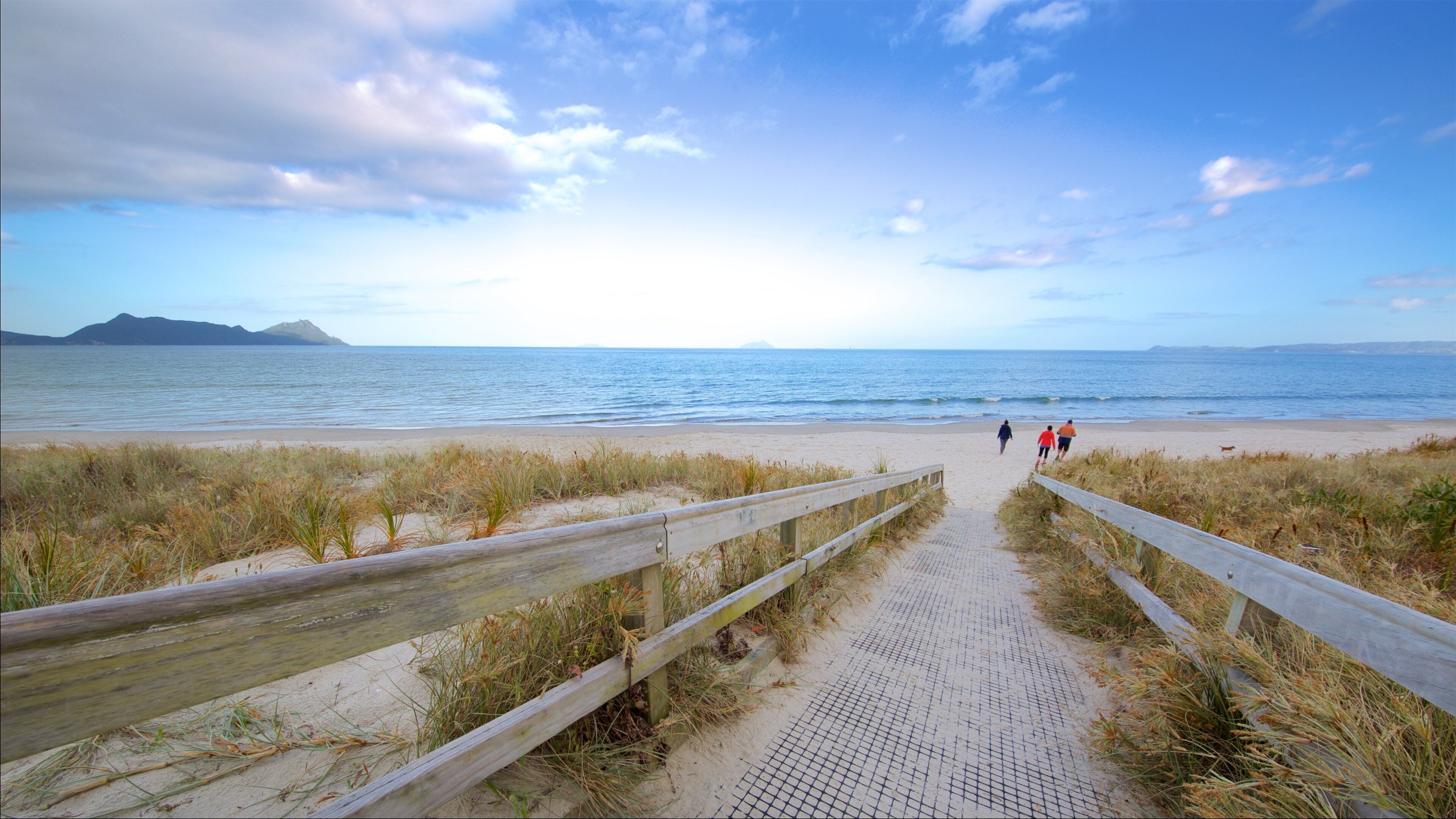 A beach path leading to the ocean with a distant mountain and a clear sky.
