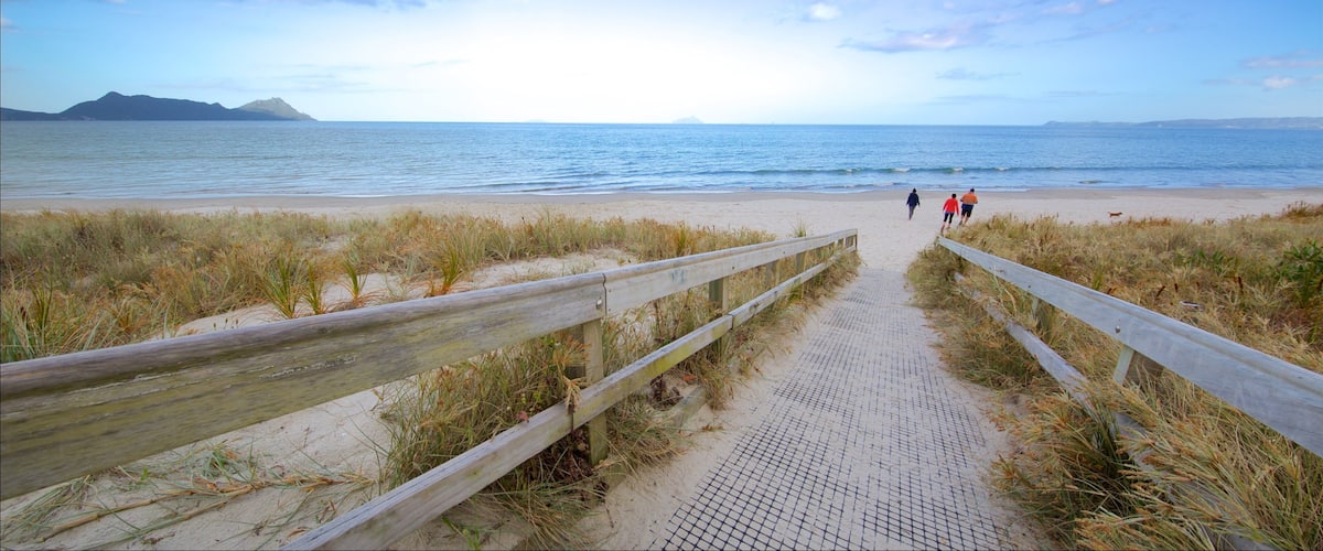 A beach path leading to the ocean with a distant mountain and a clear sky.