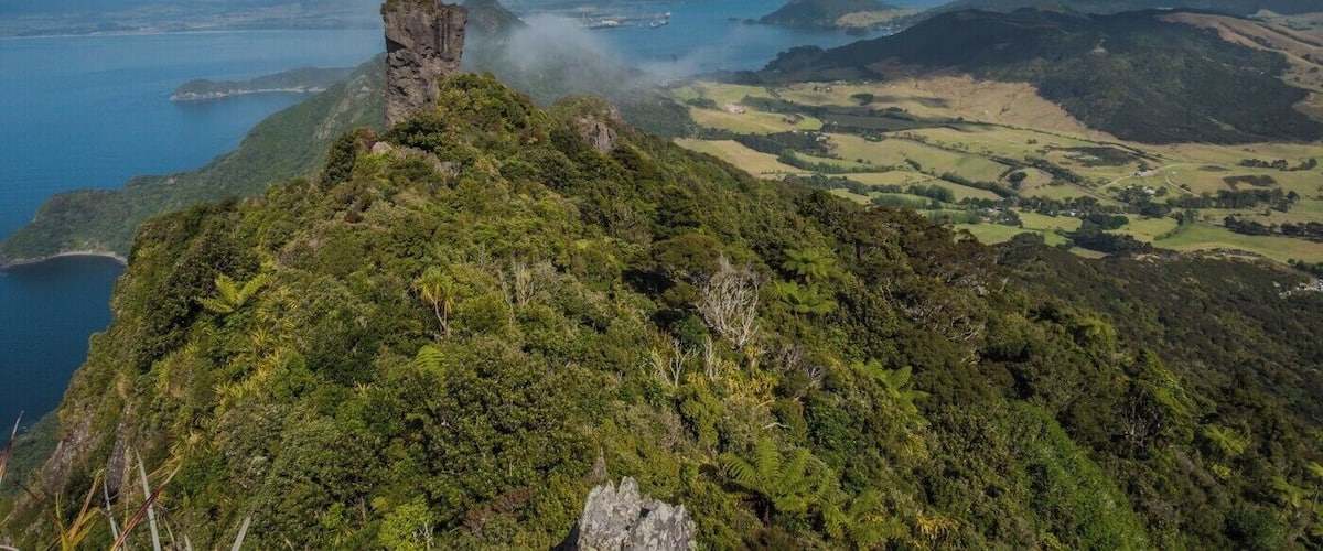 From Bream Head looking toward Whangarei harbour.