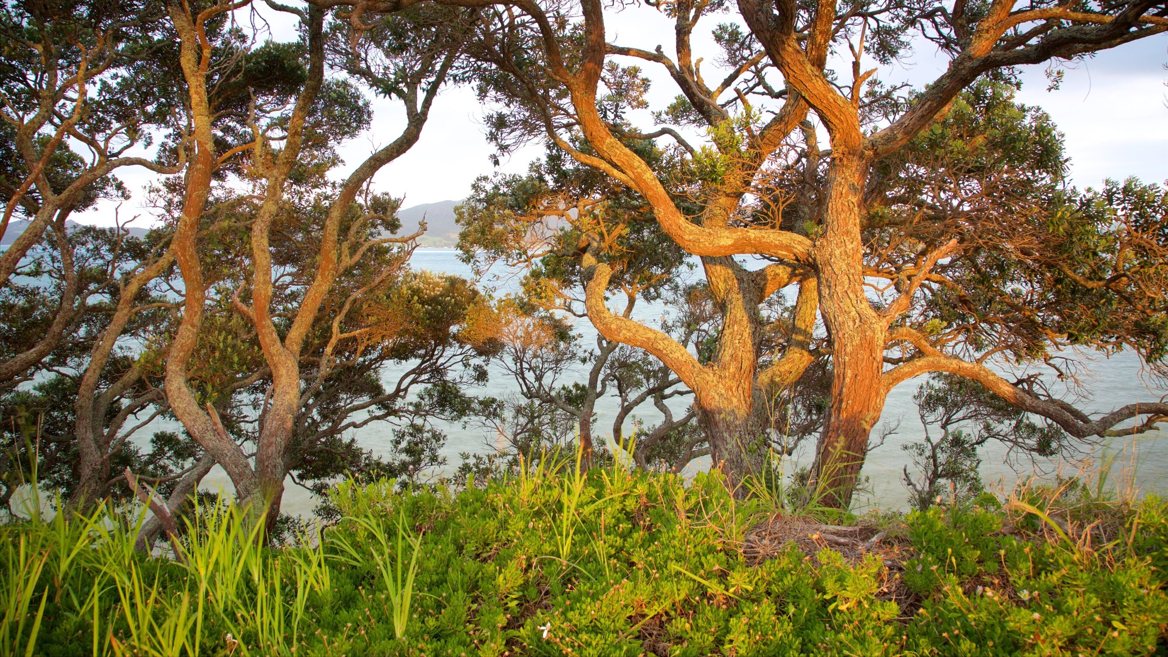 Whangarei Heads which includes a lake or waterhole
