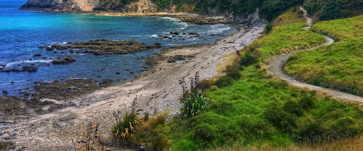 Whangarei Heads, Busby Head track to Smugglers Bay
An easy 3km loop walk that passes WWII gun emplacements, rolling green hills, and scenic coastal vistas. A highlight stopping point along the route is Smugglers Bay, a picturesque beach worth a swim!
#ontheroad #newzealand #hiking #walking #trek #travel #adventure #whangarei