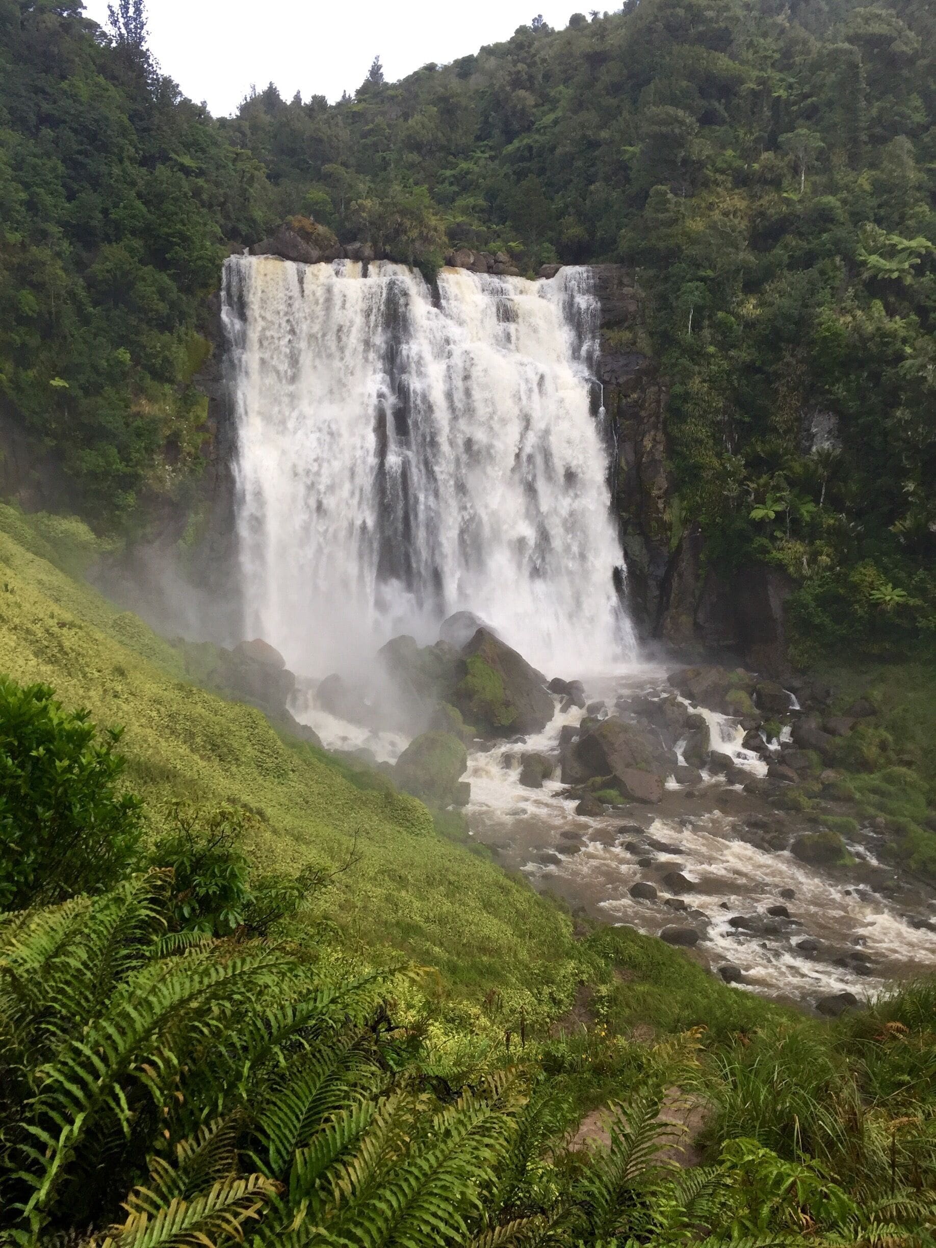About a half hour drive outside of Waitomo, is this beautiful waterfall. It's about a 10min walk from where you park, so pretty easy. If you love waterfalls like I do, it was a no brainer to check it out. I didn't stay long though as it started to rain.