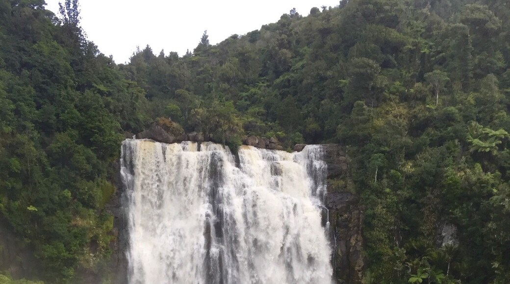 About a half hour drive outside of Waitomo, is this beautiful waterfall. It's about a 10min walk from where you park, so pretty easy. If you love waterfalls like I do, it was a no brainer to check it out. I didn't stay long though as it started to rain.