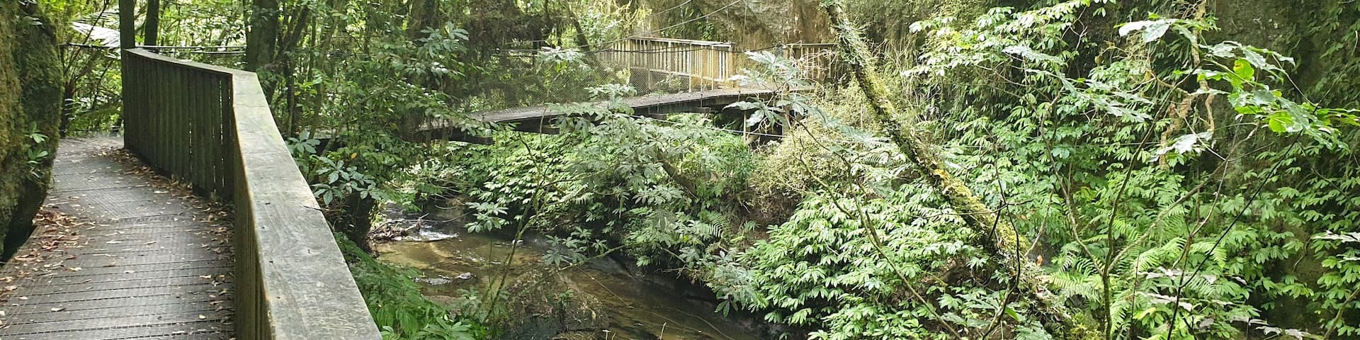 Swing bridge on the walk to the natural bridge