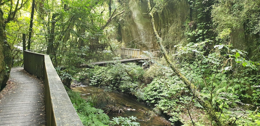 Swing bridge on the walk to the natural bridge