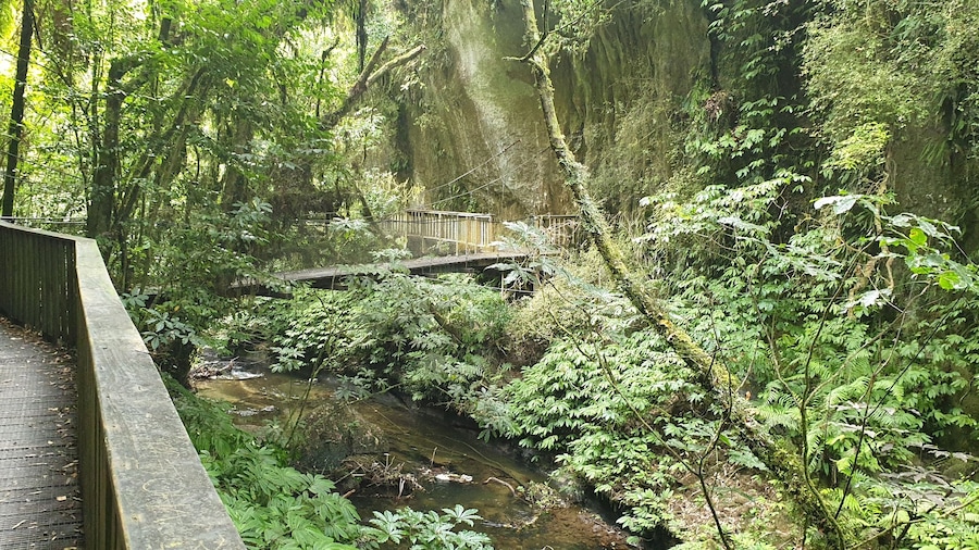 Swing bridge on the walk to the natural bridge