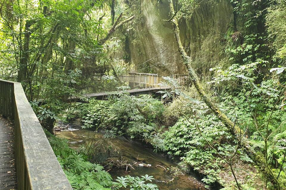 Uma passarela de madeira ao lado de um riacho em área arborizada, com uma ponte sobre a água.