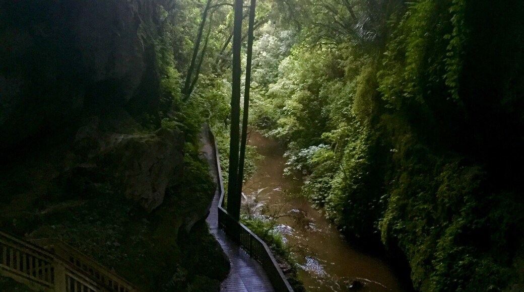 On the way to check out The falls, this was another spot off. Another maybe 10min walk from the where you park. It had started to rain and got overcast, so it was quite dark when I was there... But I had the place entirely to myself and even w/o much light it was very beautiful.