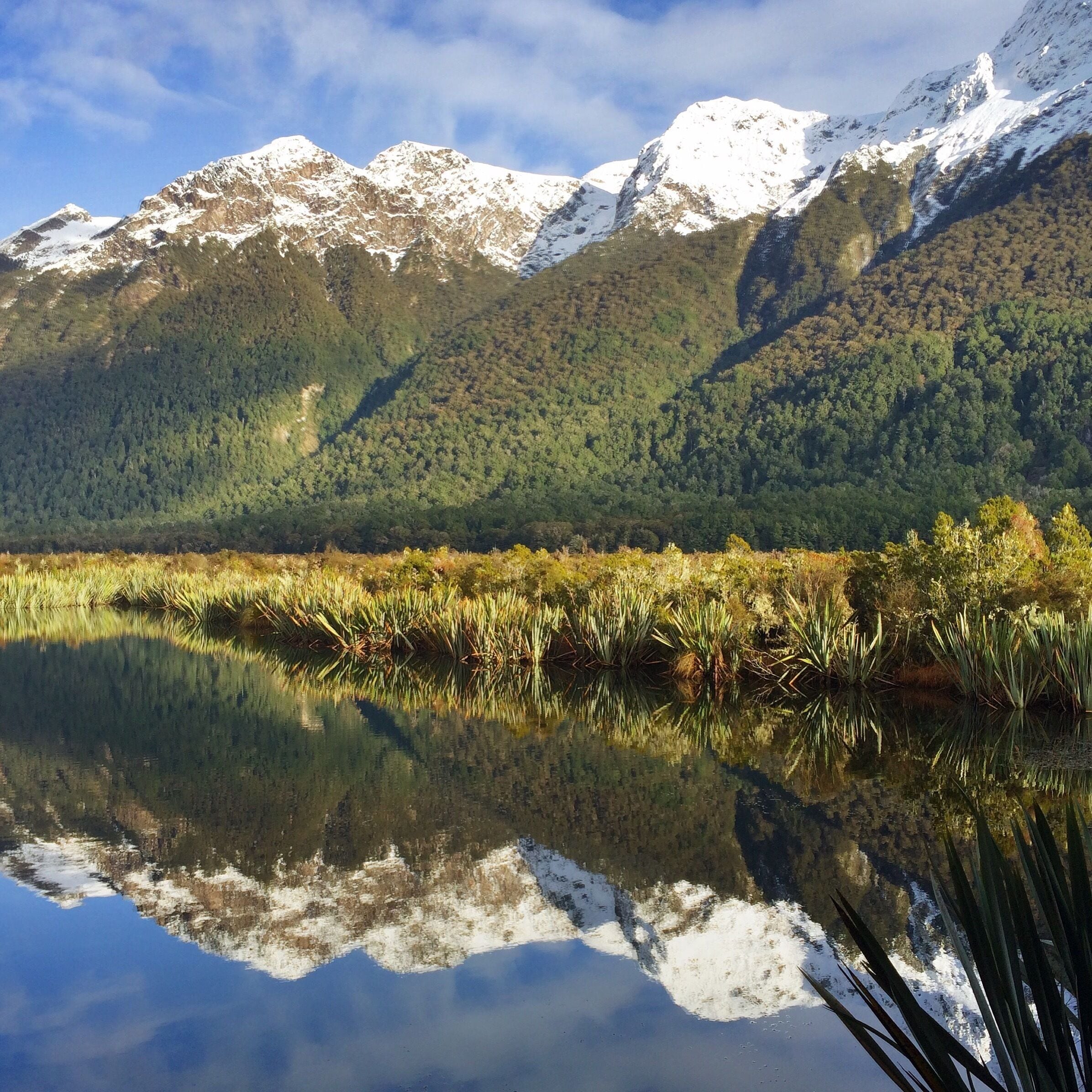 Mirror lakes are definitely worth a stop on your way to Or from milford. Absolutely beautiful!