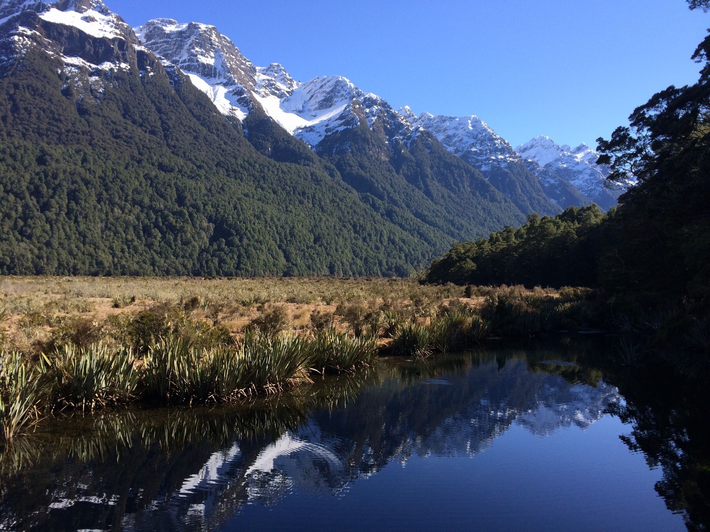 Fiordland National Park - Mirror Lakes 