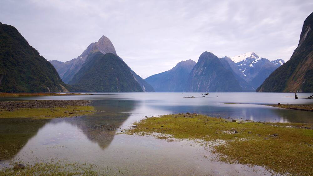 Fiordland National Park which includes a river or creek and mountains