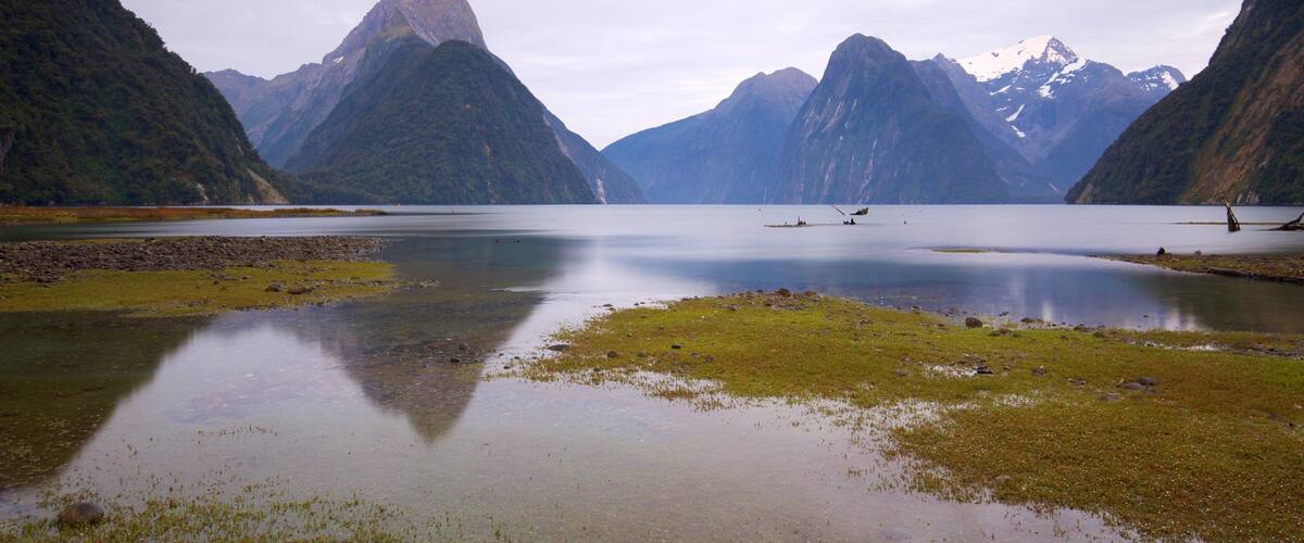 Fiordland National Park which includes a river or creek and mountains