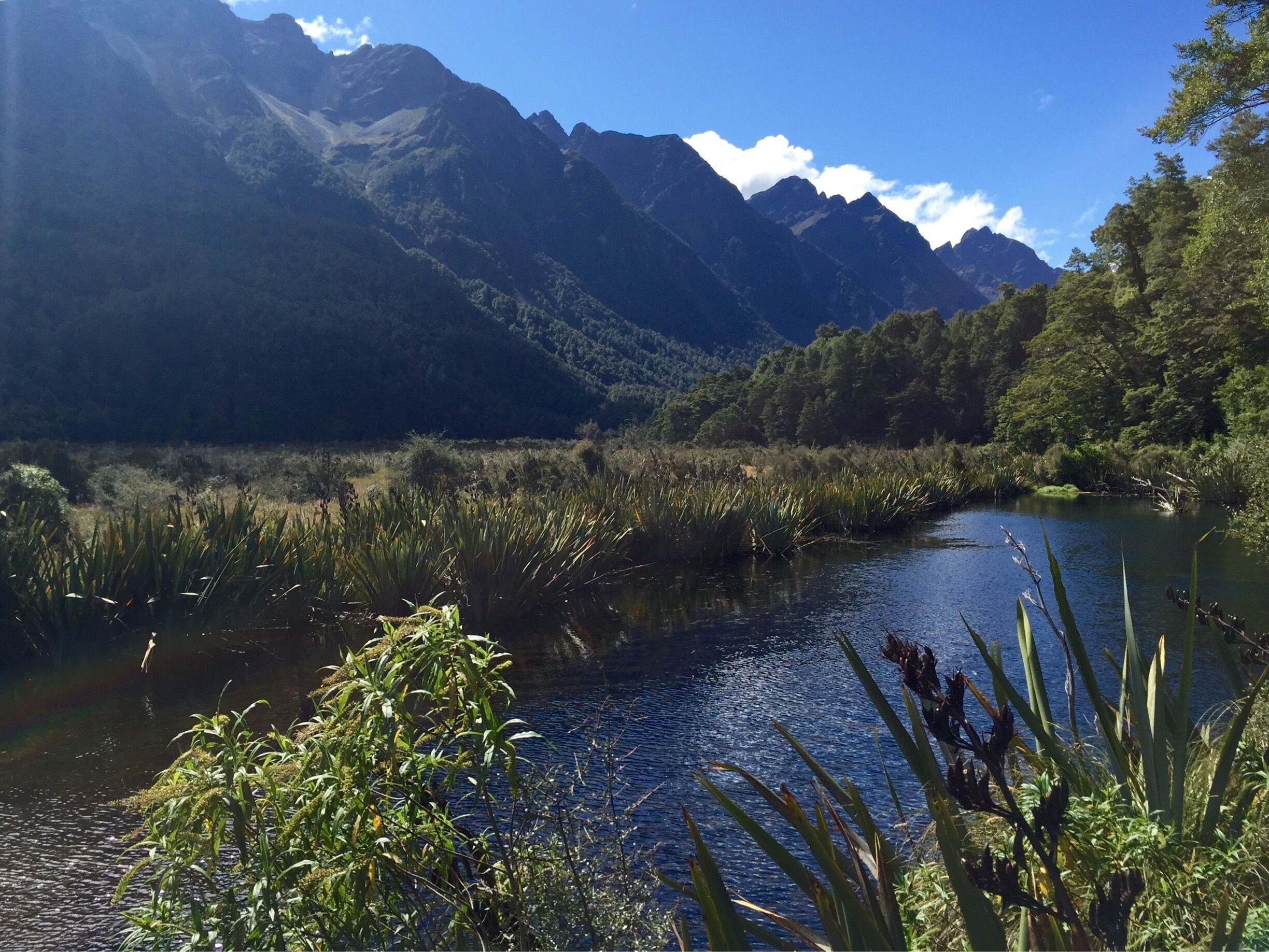 Definitely worth a stoping the way to or from Milford sound. I was running late to Milford, so I stopped on the way back, which didn't make a perfect mirror, but it was still a beautiful stop!