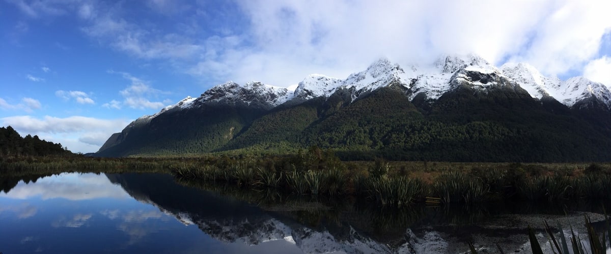 The road to Milford Sound is amazing.
