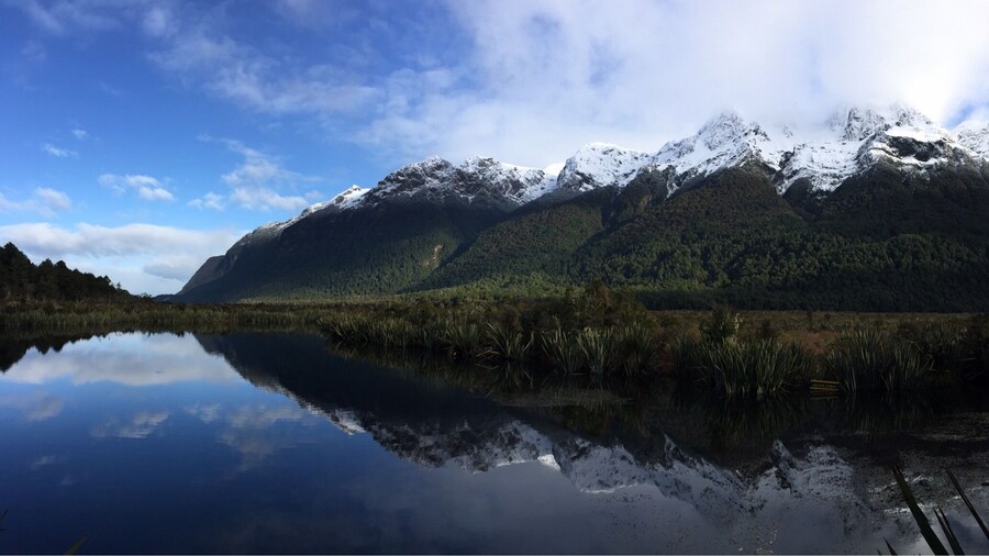 The road to Milford Sound is amazing.
