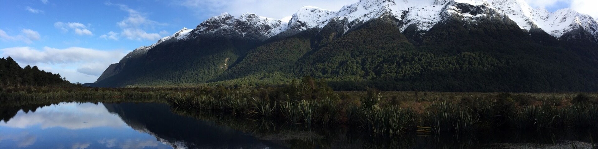 The road to Milford Sound is amazing.