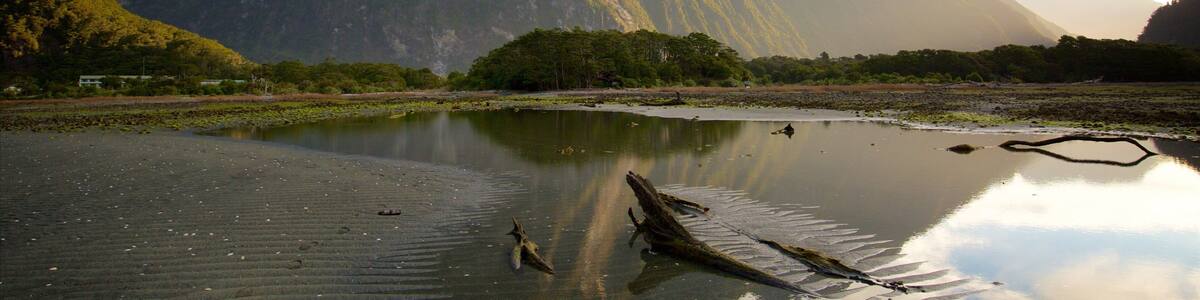 Fiordland National Park which includes mountains, a bay or harbour and a pebble beach