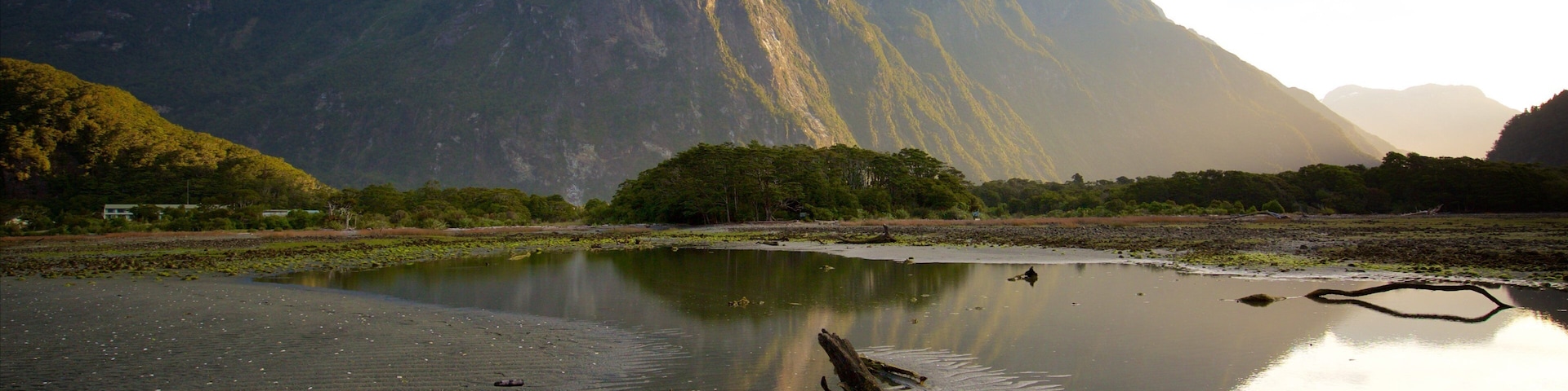 Fjordland National Park mit einem Bucht oder Hafen, Steinstrand und Berge