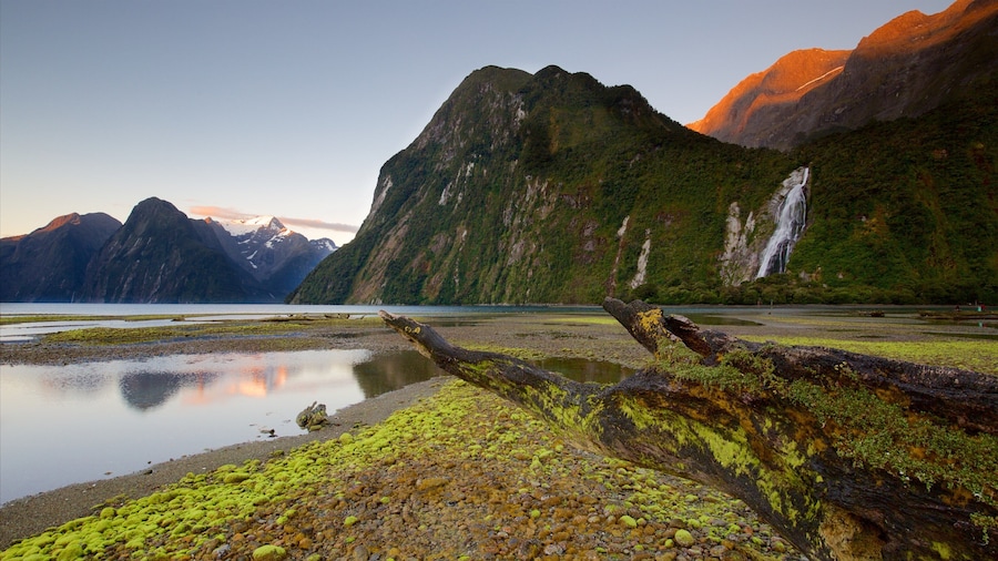 Parque Nacional Fiordland (y alrededores)