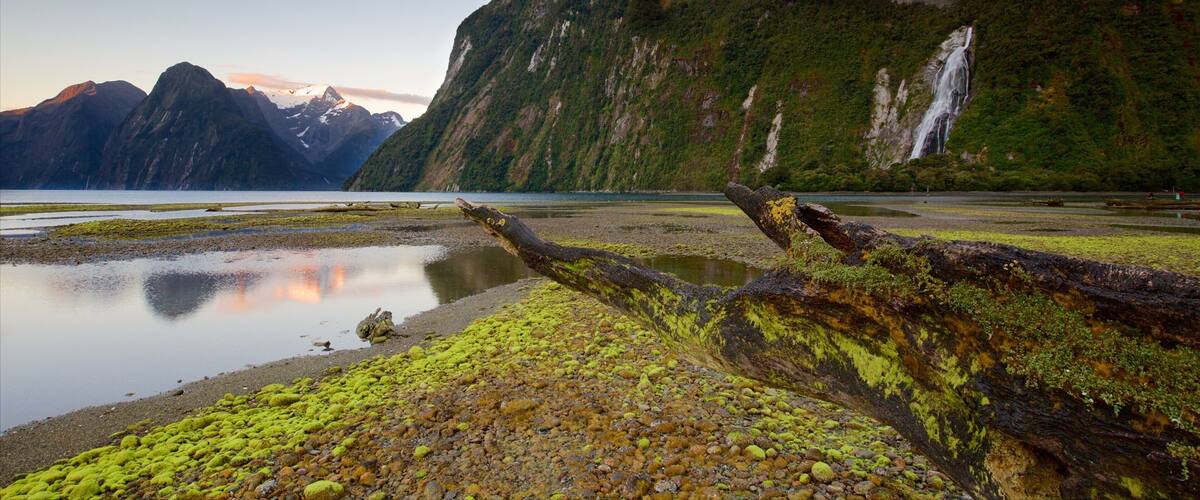 A mountainous landscape with a waterfall, a calm lake, and a fallen tree covered in moss.