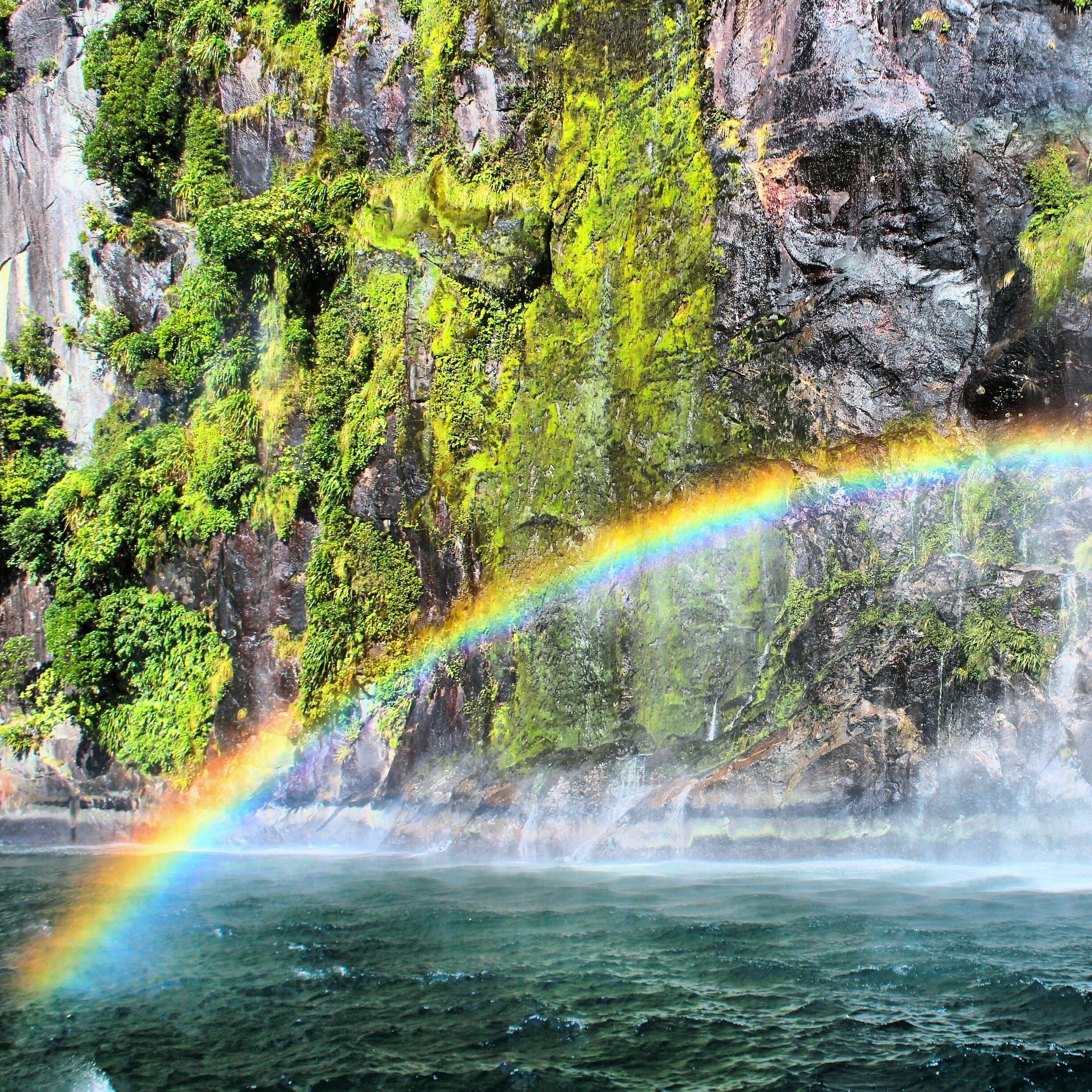 A perfect rainbow under a waterfall in Milford Sound! Such a beautiful day cruising.

Fiordland #NationalPark 