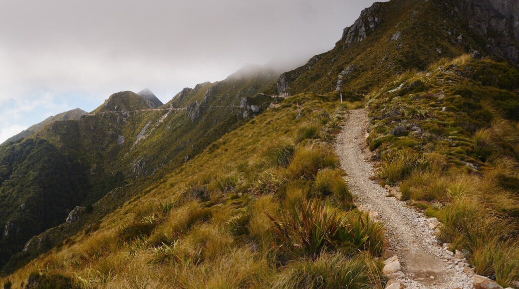 I rode a solo four-day (most do in three) 87km remote mountain bike off-road trail in the South Island called The Old Ghost Road (one of the The New Zealand Cycle Trail great rides).
More info here: https://tinyurl.com/y9m3nkmw
Video I made here: https://tinyurl.com/y7jnk9wl
My mountain biking skills are at best average and parts of this trail are ‘grade 5’ which is the hardest and supposed to be for experts only, something which I am definitely not. One mistake and you can end up at the bottom of a cliff, or alternately collapsed after the exertion of grinding up a long and steep mountain. I did meet a few other bikers up there who had had gnarly crashes, including one guy with a badly broken nose. But I survived unscathed and had an incredible trip, beautiful wild mountain and rugged remote countryside.
The Old Ghost Road begins at Lyell - near the town of Murchison - and it ends on the West Coast at the small settlement of Seddonville. The Old Ghost Road traverses mountains, deep river gorges, dense forest and rough backcountry. It is remote, exposed, with alpine sections above the treeline. On a clear day, there are incredible views in every direction. The steep, jagged rocks and golden tussocky peaks are spectacular.
#southisland #newzealand #oldghostroad #mountainbike #bikepacking #biketrail #mountains #adventure
