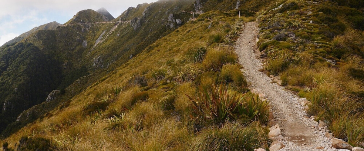 I rode a solo four-day (most do in three) 87km remote mountain bike off-road trail in the South Island called The Old Ghost Road (one of the The New Zealand Cycle Trail great rides).
More info here: https://tinyurl.com/y9m3nkmw
Video I made here: https://tinyurl.com/y7jnk9wl
My mountain biking skills are at best average and parts of this trail are ‘grade 5’ which is the hardest and supposed to be for experts only, something which I am definitely not. One mistake and you can end up at the bottom of a cliff, or alternately collapsed after the exertion of grinding up a long and steep mountain. I did meet a few other bikers up there who had had gnarly crashes, including one guy with a badly broken nose. But I survived unscathed and had an incredible trip, beautiful wild mountain and rugged remote countryside.
The Old Ghost Road begins at Lyell - near the town of Murchison - and it ends on the West Coast at the small settlement of Seddonville. The Old Ghost Road traverses mountains, deep river gorges, dense forest and rough backcountry. It is remote, exposed, with alpine sections above the treeline. On a clear day, there are incredible views in every direction. The steep, jagged rocks and golden tussocky peaks are spectacular.
#southisland #newzealand #oldghostroad #mountainbike #bikepacking #biketrail #mountains #adventure