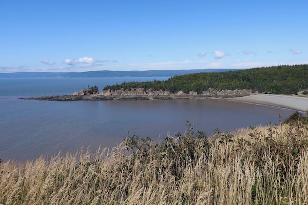 A coastal landscape with a sandy beach, calm water, and a forested hill in the background.