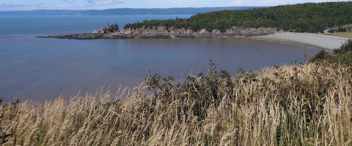 A coastal landscape with a sandy beach, calm water, and a forested hill in the background.