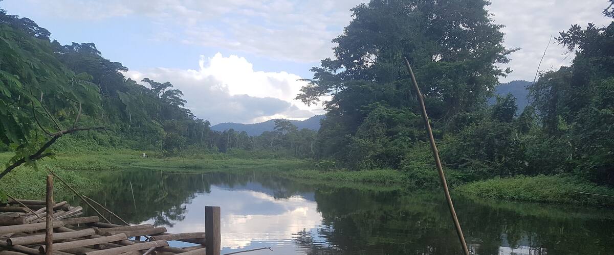 A calm river with wooden docks and lush greenery in the background.