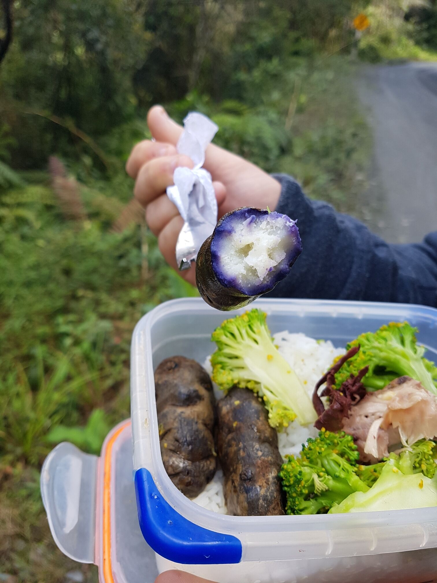 Patata Morada en Parque Nacional Manu. Peru