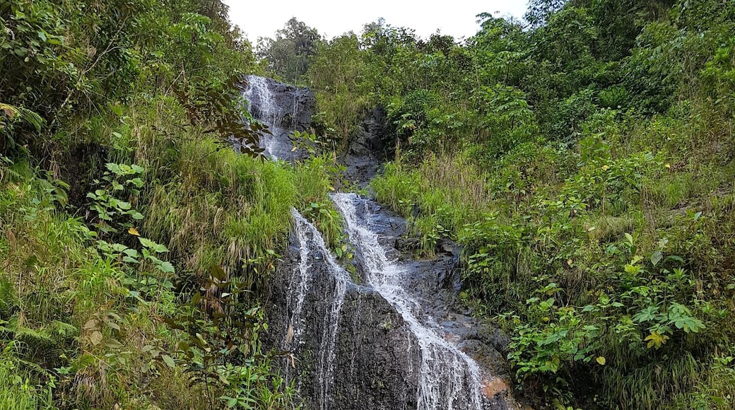Waterfall in Manu National Park. Peru