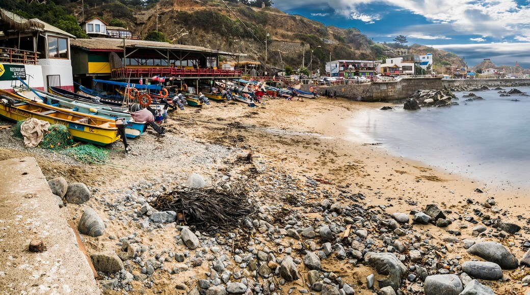 Fishing Village at Chile, the Humboldt current take a lot of nutrients to the area make it perfect for fishing, here we can see Caleta Quintay in Valparaiso an old whale fishing village