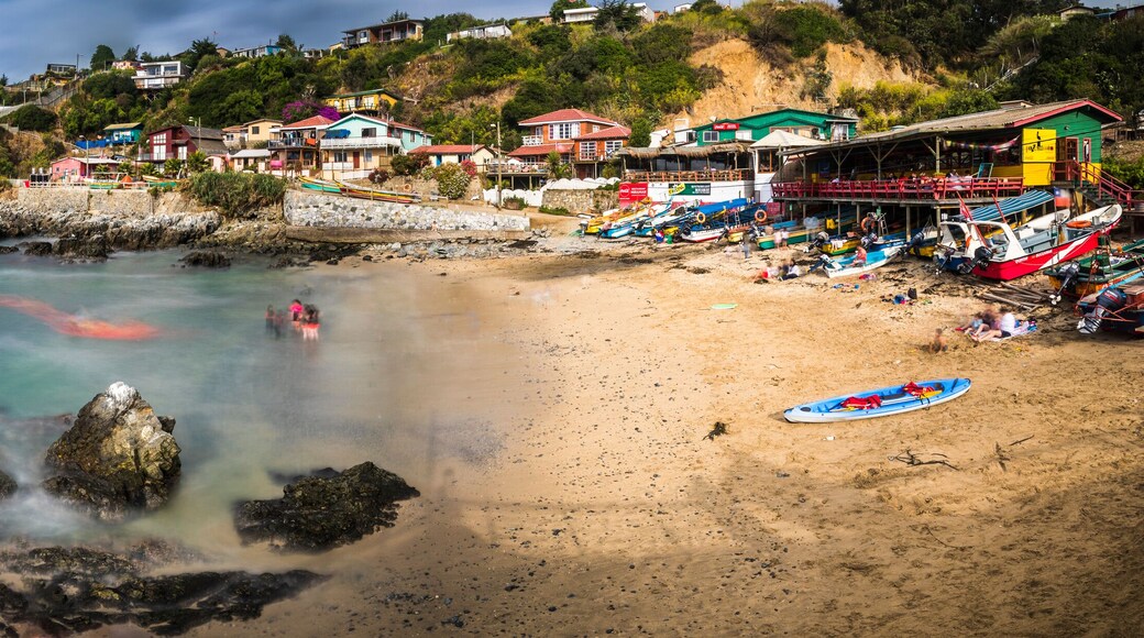 Fishing Village at Chile, the Humboldt current take a lot of nutrients to the area make it perfect for fishing, here we can see Caleta Quintay in Valparaiso an old whale fishing village