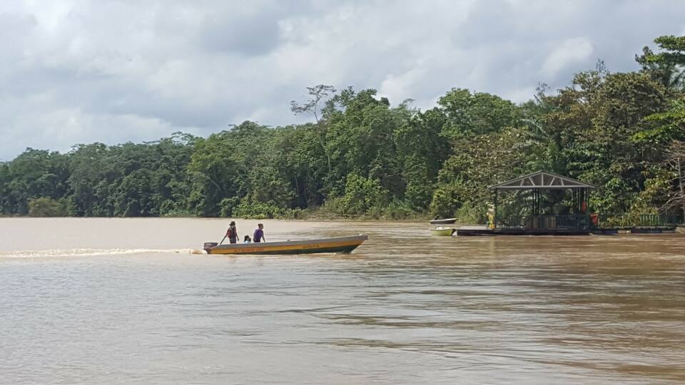 A river with a boat carrying people, surrounded by dense green forest and a small dock with a gazebo.