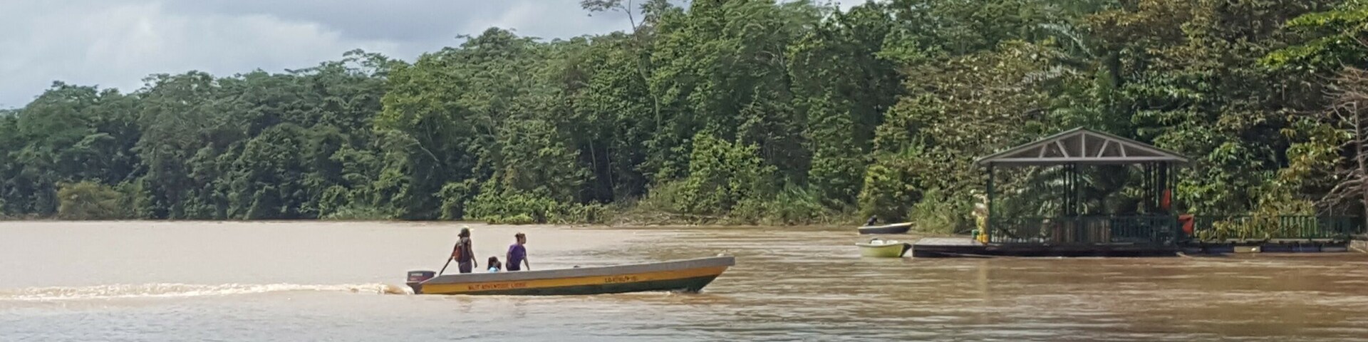 Most amazing experience, elephants, hornbills, orangutans, proboscis monkey and more 😁