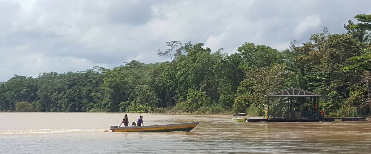 A river with a boat carrying people, surrounded by dense green forest and a small dock with a gazebo.