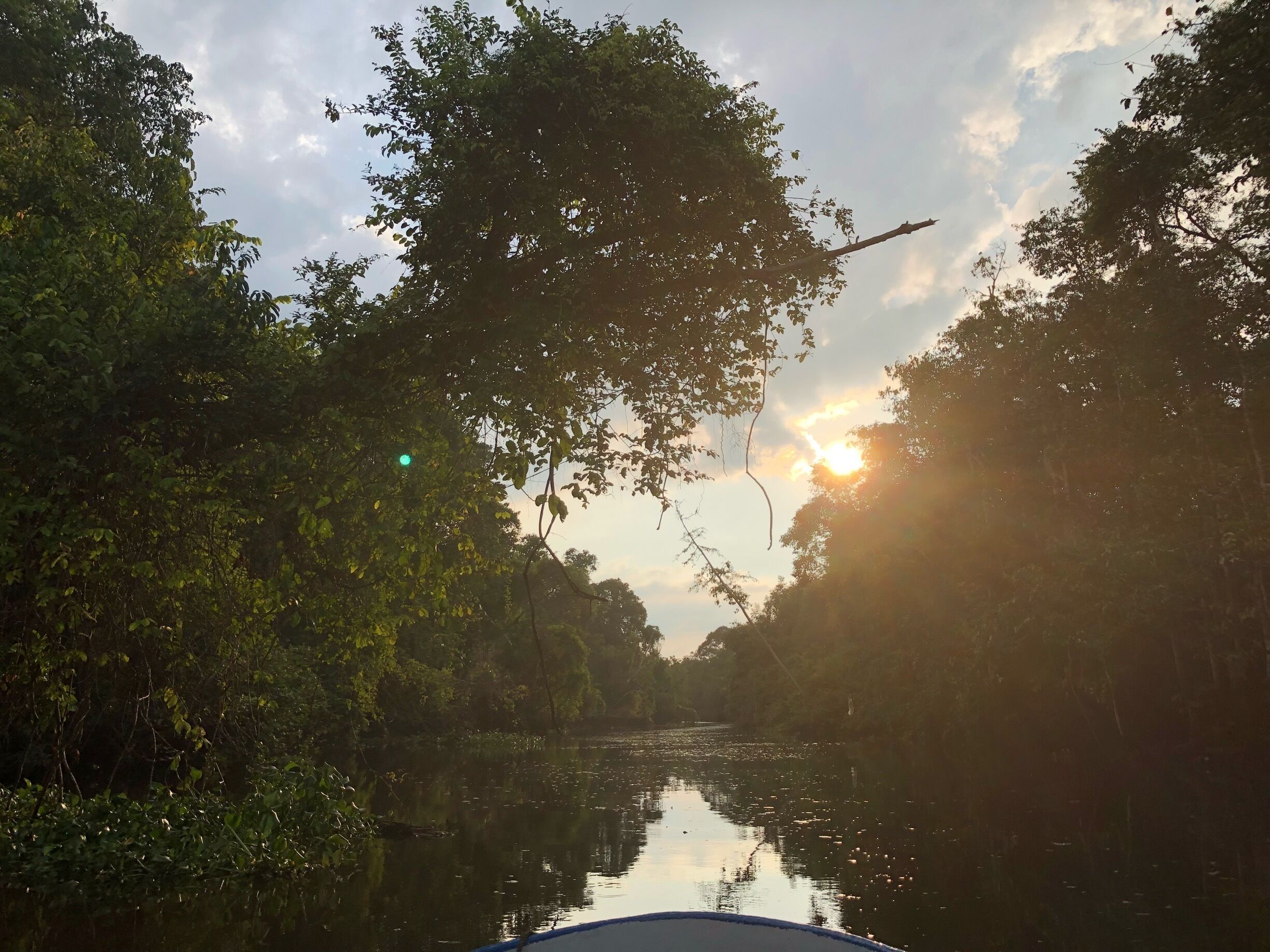 Cruising along the river in search of Borneo’s native animals. We spotted crocodiles, orangutans, proboscis monkeys, silver leaf monkeys, macaques, hornbills, eagles and even snakes along the river. This jungle tour was amazing and I would highly recommend it to anyone who is a wildlife lover! #GreatOutdoors #nature