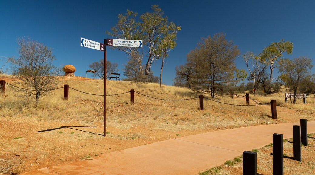 Flynn featuring signage and desert views