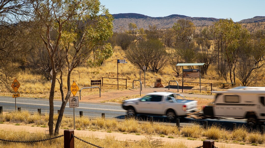 Flynn featuring off road driving and desert views