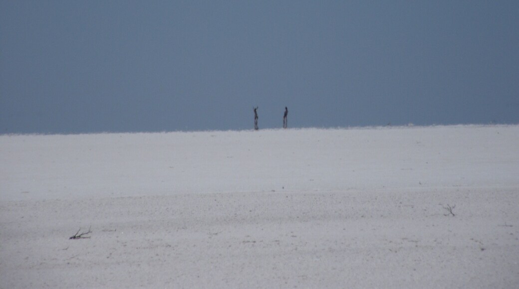 Between Coober Pedy and Alice springs you can find salt lakes. A nice stop to stretch your legs.