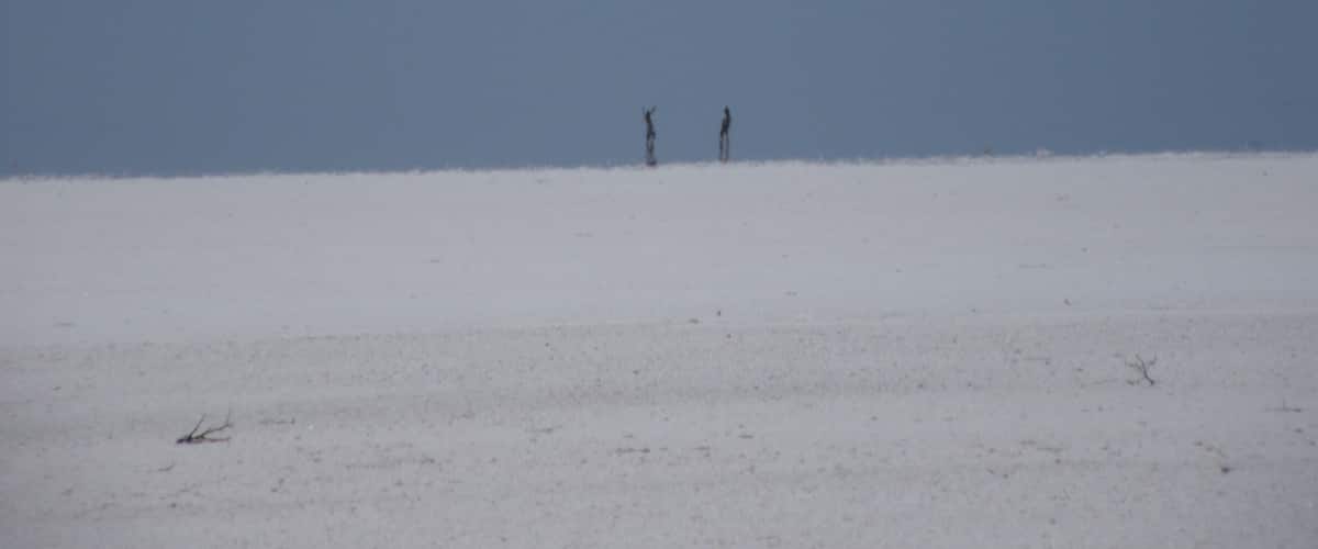 Between Coober Pedy and Alice springs you can find salt lakes. A nice stop to stretch your legs.