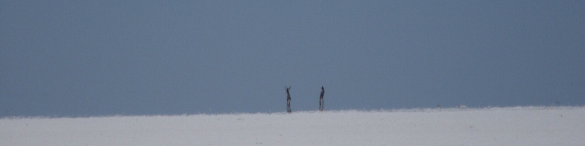 A snowy landscape with two people standing in the distance.