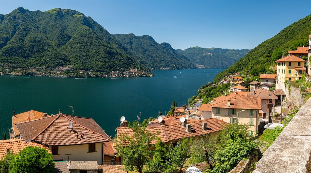 ํฌ๋๋ ๋ผ๋ฆฌ์ค