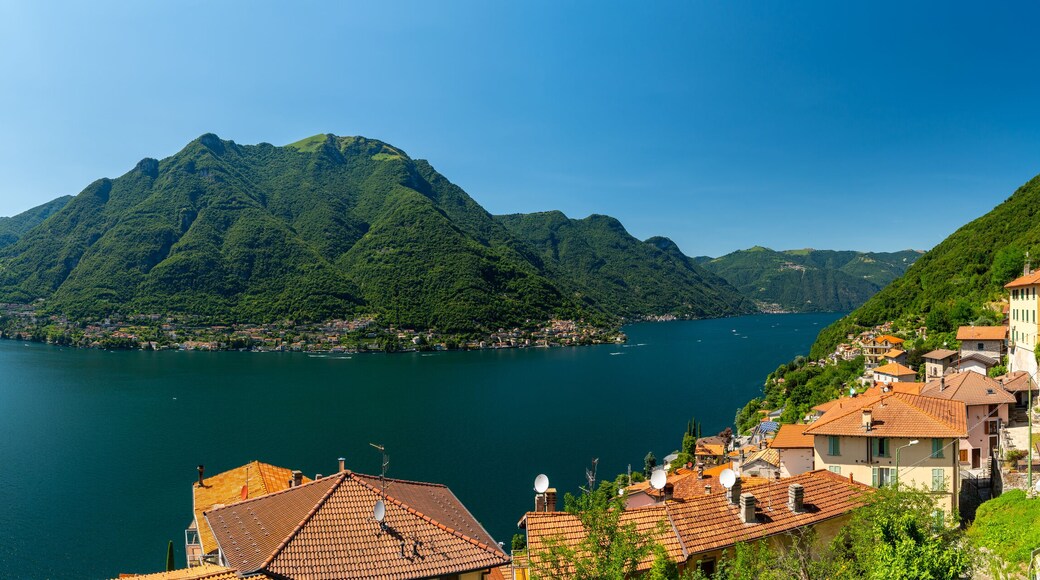 ํฌ๋๋ ๋ผ๋ฆฌ์ค