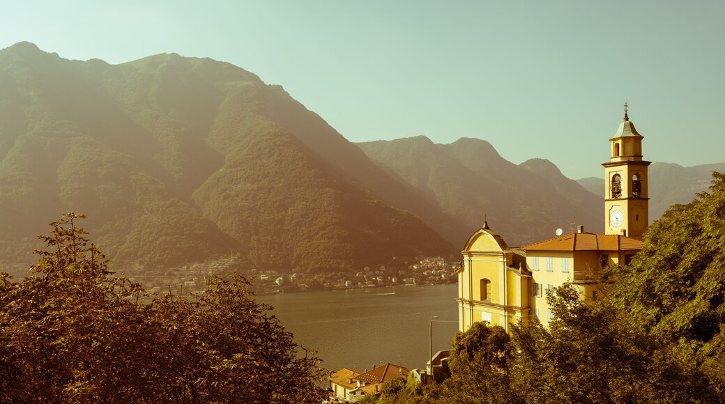 ํฌ๋๋ ๋ผ๋ฆฌ์ค