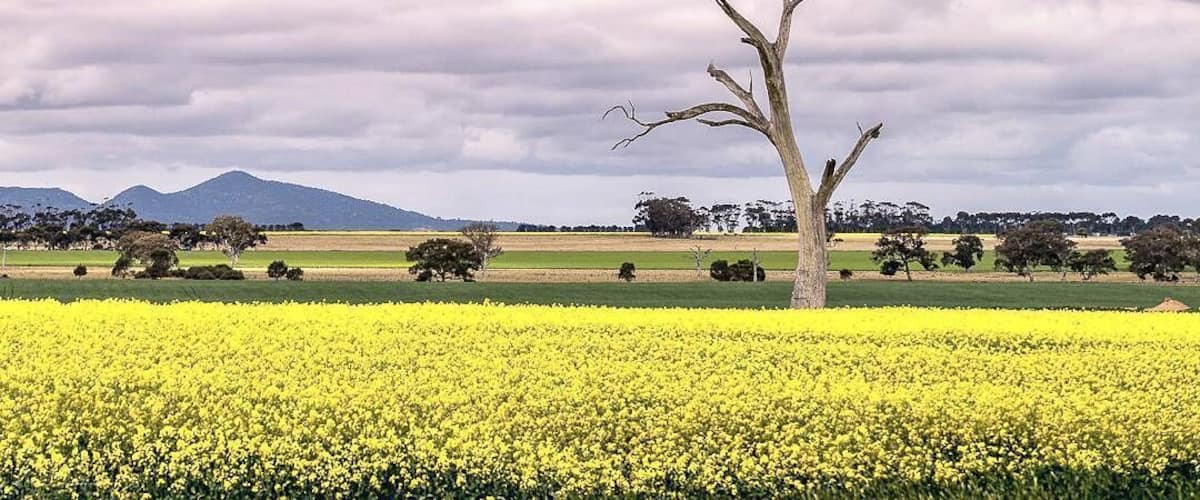 A couple of minutes drive off Ballan Road. You will see the fields along the road. Find your spot and shoot!