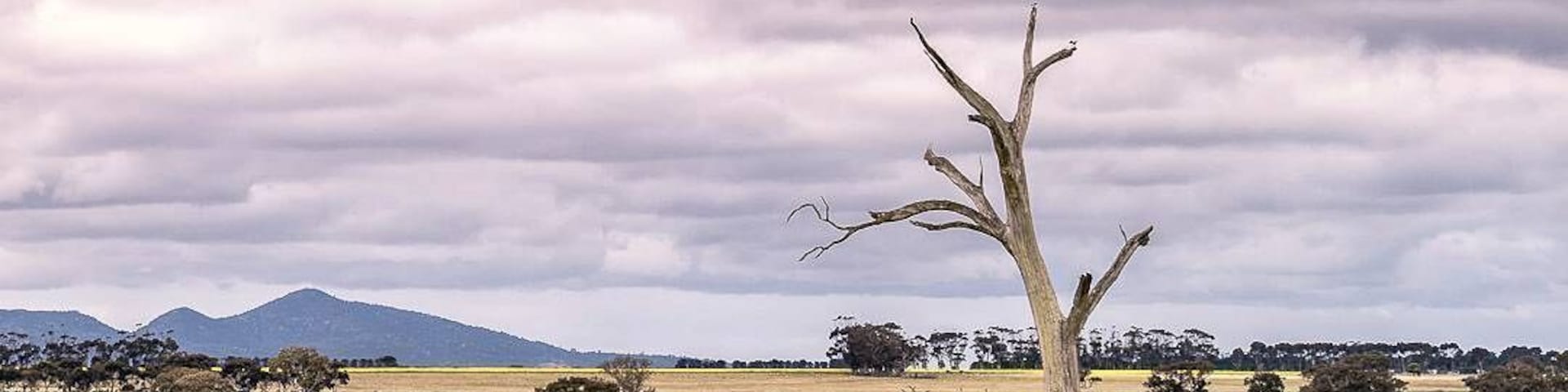 A couple of minutes drive off Ballan Road. You will see the fields along the road. Find your spot and shoot!